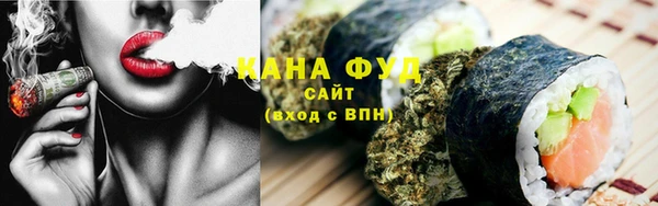 дмт Дмитровск