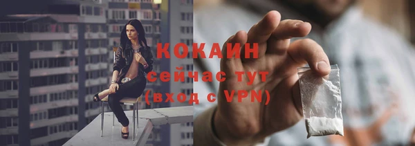 дмт Дмитровск