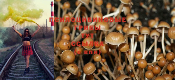 прущие крисы Дмитриев