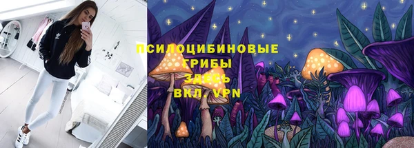 дмт Дмитровск