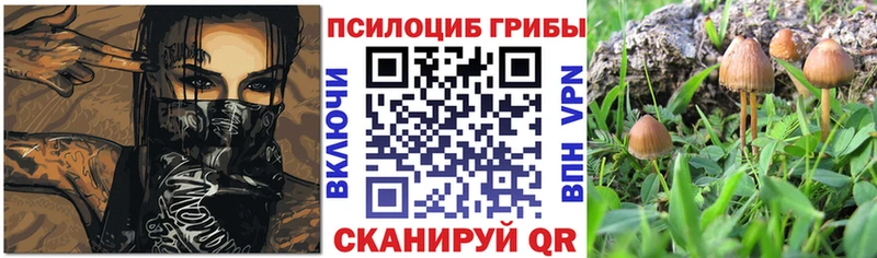 Псилоцибиновые грибы MAGIC MUSHROOMS  Зарайск 